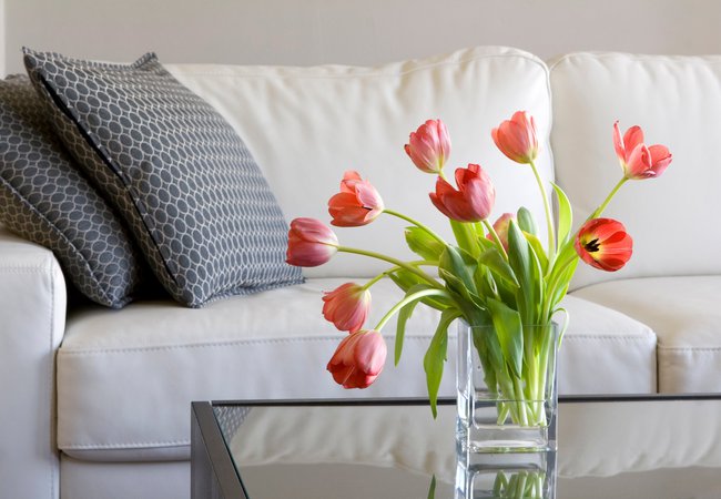 vase of red tulips in modern white living room - home decor